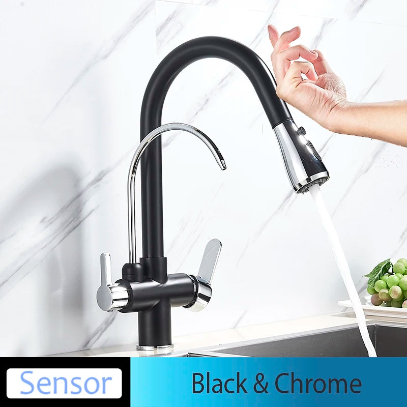Onyzpily Kitchen Faucet Pull Out Dual Handle