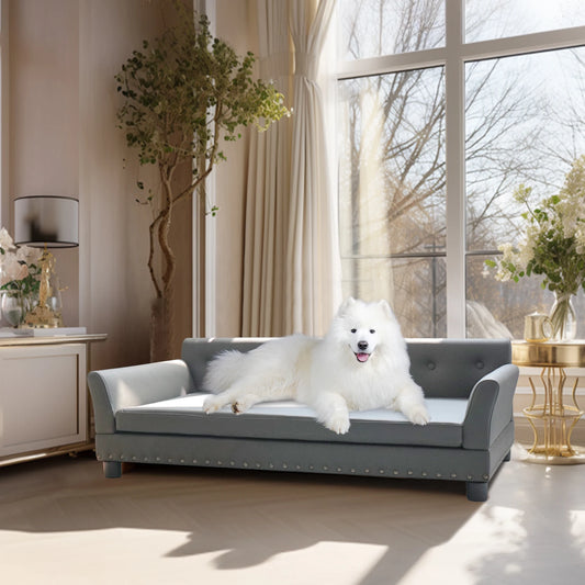 BINGOPAW Elevated Dog Bed Sofa Mat With Removable Cushion