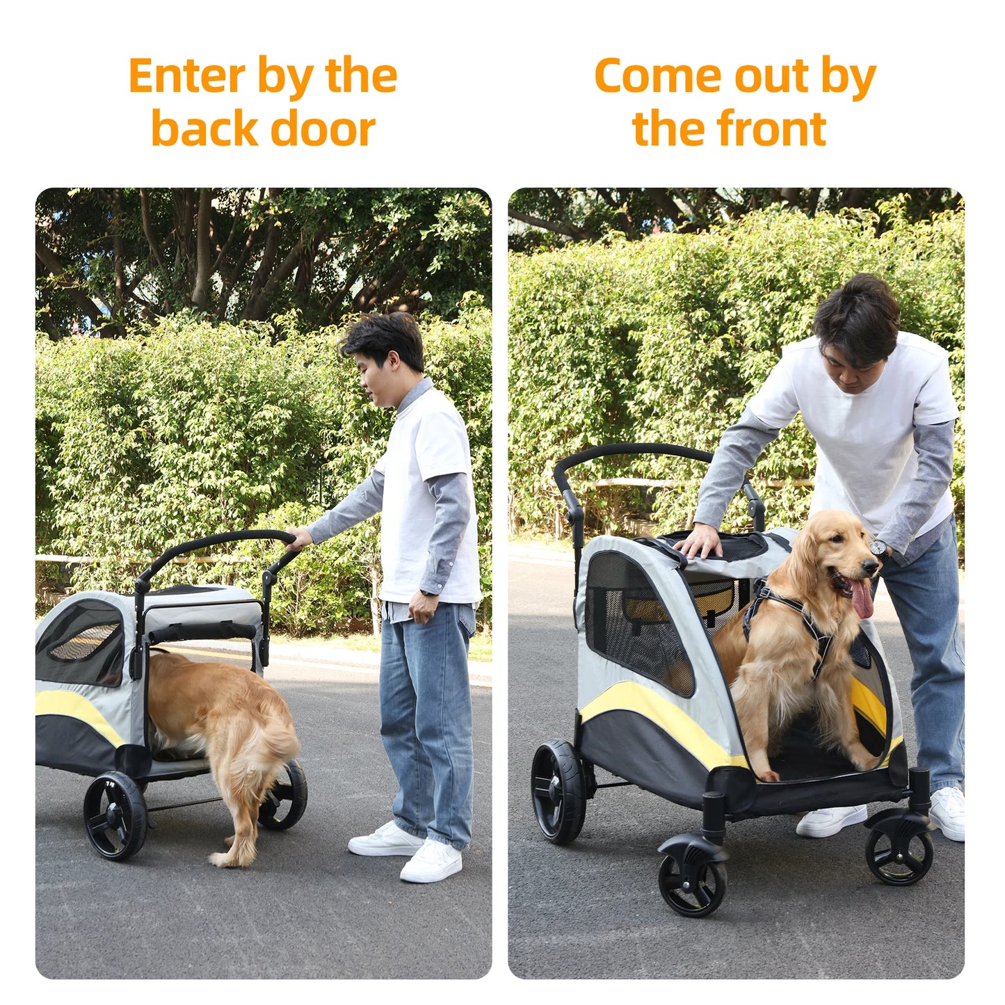 BINGOPAW Dog Stroller 4 Wheel Foldable Pet Carrier